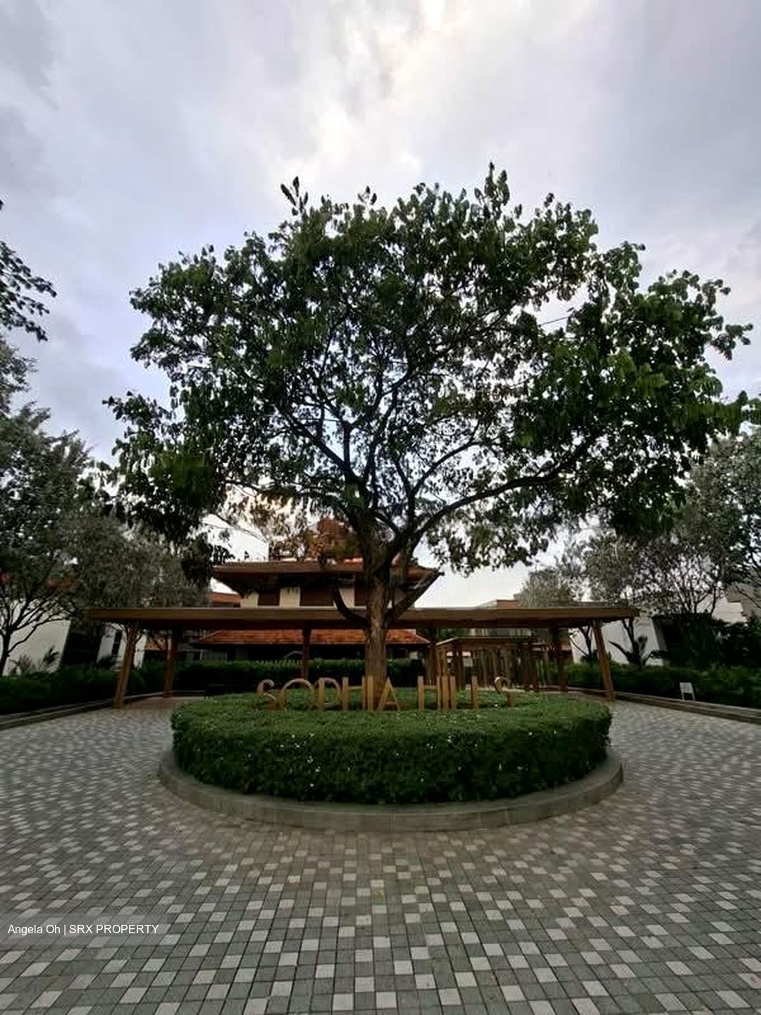 Sophia Hills (D9), Condominium #545763801